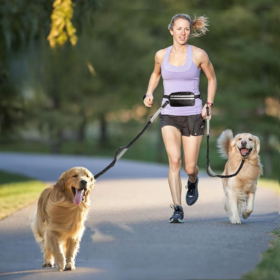 FreePaws™ Dual Pet Leash