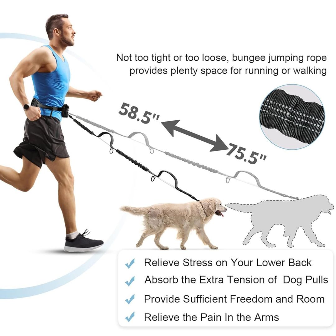 FreePaws™ Dual Pet Leash